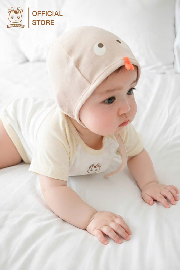 Bodychip tay raglan phối màu